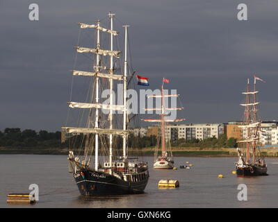 Les grands voiliers sont de retour à Londres pour le Festival 2016 Thames, London, UK , 16 septembre 2016 Credit : Nastia M/Alamy Live News Banque D'Images