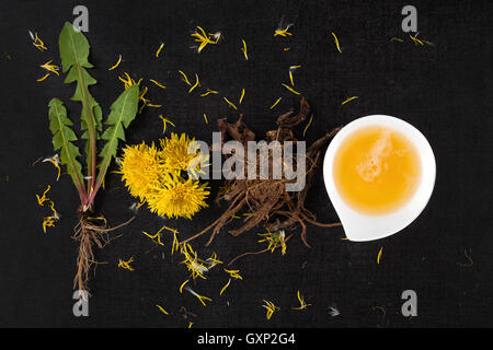 Arrière-plan de pissenlit, remède de fines herbes. Fleur de pissenlit, feuilles et racine isolé sur fond noir. Banque D'Images