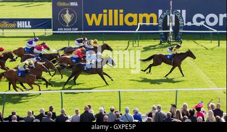 Lincoln monté par Graham Lee remporte le Collège Al Maktoum, Dundee Hadicap Stakes au cours de la deuxième journée de la 2016 William Hill Ayr Gold Cup Festival à Ayr Racecourse. Banque D'Images