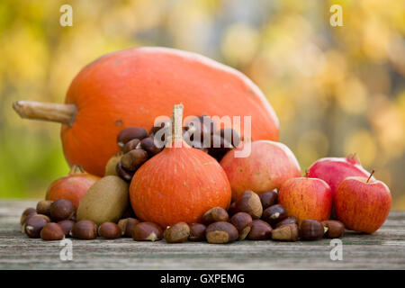 Automne nature concept. Fruits d'automne à l'extérieur sur une table en bois Banque D'Images