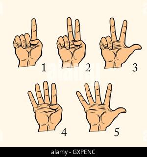 Ensemble de gestes de la main count 1 2 3 4 et 5 Illustration de Vecteur