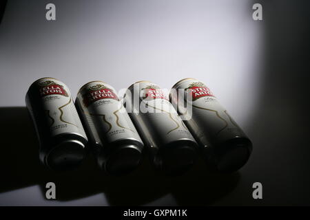 Quatre canettes de bière Stella Artois Banque D'Images