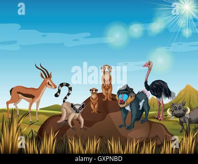 Beaucoup d'animaux dans le domaine illustration Illustration de Vecteur