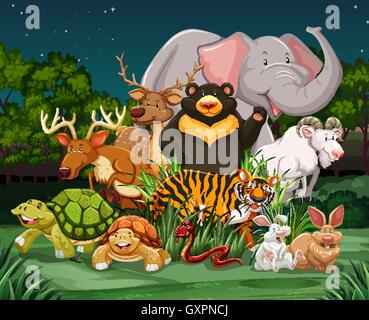 Différents types d'animaux sauvages dans l'illustration du parc Illustration de Vecteur