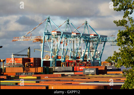 Peel ports £300m de profondeur côté rivière porte-conteneurs extension de terminal portique et portique porte-à-faux géant grues megamax (CRMG) qui peut maintenant décharger les plus grands conteneurs dans le monde. Expédition dans le port de Liverpool, L2 Merseyside, Royaume-Uni Banque D'Images