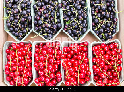 Corbeilles de Fruits aux fruits rouges et de cassis sur market Banque D'Images