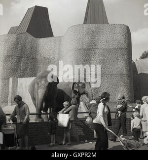 Années 1960, se rapprocher des éléphants au zoo de Londres, Regents Park, Londres, Angleterre, à l'extérieur de leur maison, Le pavillon Casson, qui a ouvert ses portes en 1965, a été nommé d'après son architecte, Sir Hugh Casson. Les éléphants sont arrivés au zoo en 1831 et les visiteurs pouvaient ensuite les monter, mais ils sont partis en 2001 pour aller au parc animalier de Whipsnade, dans le Bedfordshire. Le zoo de Londres a été ouvert au public en 1847 pour aider au financement, comme il avait initialement ouvert en 1828 comme lieu d'étude purement scientifique par la Zoological Society of London (ZSL), une organisation caritative qui s'est engagée à la conservation des animaux et de leurs habitats. Banque D'Images