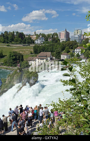 Les chutes du Rhin près de Schaffhouse, Laufen-Uhwiesen, Suisse Banque D'Images