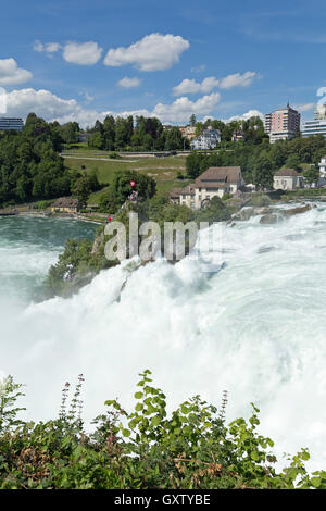 Les chutes du Rhin près de Schaffhouse, Laufen-Uhwiesen, Suisse Banque D'Images