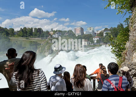 Les chutes du Rhin près de Schaffhouse, Laufen-Uhwiesen, Suisse Banque D'Images