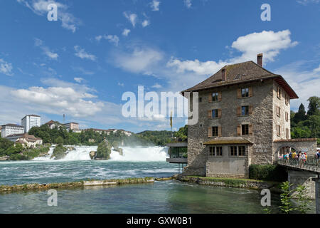 Les chutes du Rhin près de Schaffhouse, Genève, Suisse Banque D'Images
