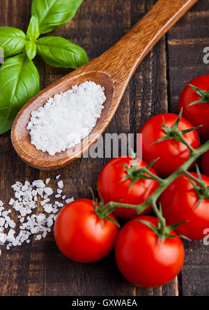 Les tomates fraîches au basilic et une cuillère de sel sur grunge wooden board Banque D'Images