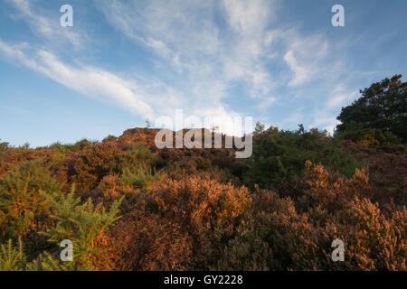 Tôt le matin voir de Stony Jump (le saut du diable) à Frensham clignote à Surrey, Angleterre Banque D'Images