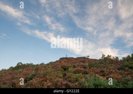 Tôt le matin voir de Stony Jump (le saut du diable) à Frensham clignote à Surrey, Angleterre Banque D'Images