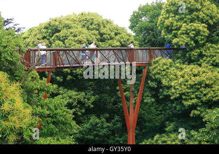 Xstrata Treetop Walkway, Royal Botanic Gardens, Kew, Londres, Angleterre, Royaume-Uni Banque D'Images