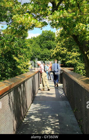 Xstrata Treetop Walkway, Royal Botanic Gardens, Kew, Londres, Angleterre, Royaume-Uni Banque D'Images