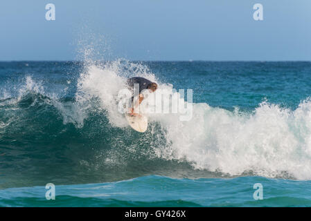 Australian surfer sur la vague, la plage de Bondi dans la banlieue Est Sydney Banque D'Images