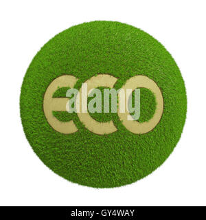 Eco sphere 3D render Banque D'Images