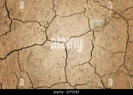 Sol fissuré à sec en remplissant le cadre en arrière-plan Banque D'Images