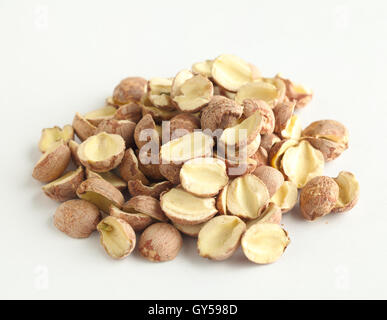 Fox nuts isolated on white Banque D'Images