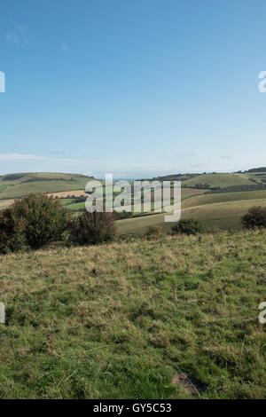 Les collines du Dorset, Angleterre Banque D'Images