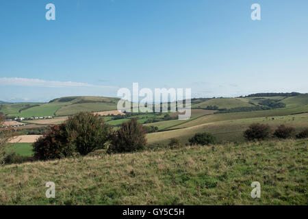 Les collines du Dorset, Angleterre Banque D'Images