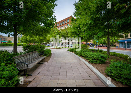 Banc et promenade à John Carlyle Square, à Alexandria, en Virginie. Banque D'Images