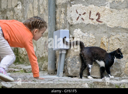 Une petite fille à la poursuite d'un chat dans les rues de la vieille ville de Kotor, Monténégro Banque D'Images