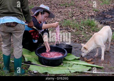 Les membres de la famille Akha de la tribu des collines Lisu lavent un animal abattu dans un village montagneux Lisu situé à si Dong Yen un tambon (sous-district) du district de Chai Prakan, dans la province de Chiang mai, au nord de la Thaïlande. Les Lisu sont les descendants directs des tribus indigènes semi-nomades du Tibet. Au cours des 300 dernières années, pour des raisons politiques et de survie, beaucoup de gens ont choisi de migrer vers le bas à travers la Chine, la Birmanie, le Laos et, plus récemment, la Thaïlande. Banque D'Images