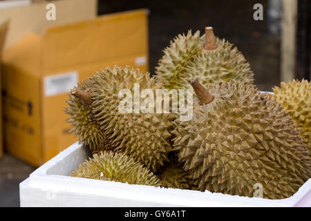 Durian fruits en boîte en polystyrène Banque D'Images