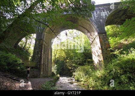 Abseiler descend de Millers Dale Monsal pont sur le sentier de la rive de la rivière Wye, Peak District Derbyshire, Angleterre Royaume-uni Banque D'Images