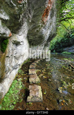 Pierres de gué sur la rivière Wye dans Chee Dale, une spectaculaire gorge calcaire dans le parc national de Peak District, England, UK Banque D'Images