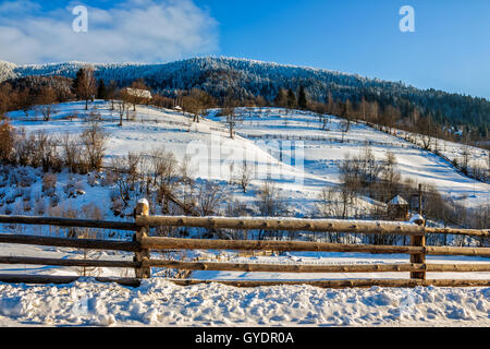 Bûcher derrière la barrière sur la colline recroquevillés avec snow près de la forêt de conifères dans les montagnes d'hiver tôt le matin Banque D'Images