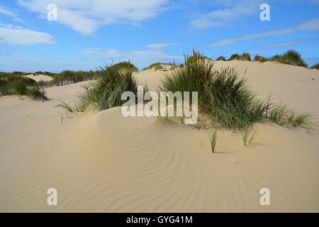 Formby Beach en Angleterre Banque D'Images