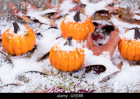 Citrouilles d'automne avec de la neige et des feuilles. Selective focus on/potiron. Banque D'Images