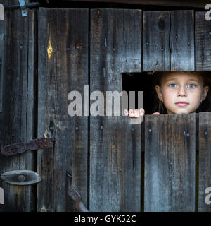Little girl peeking through une lacune dans une grange rustique en bois. Banque D'Images