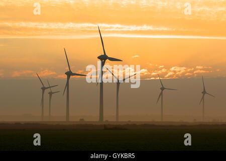 Éoliennes dans la lumière du matin, l'ALLEMAGNE, Basse-Saxe, Frise Orientale, Norden Banque D'Images