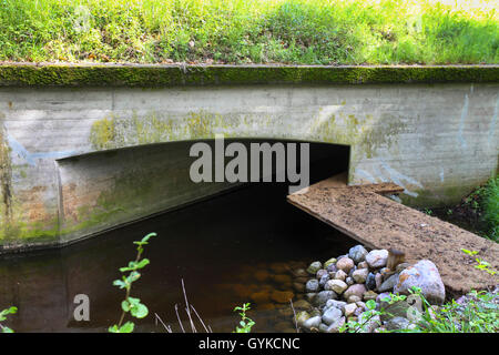 La loutre d'Europe, loutre d'Europe, la loutre (Lutra lutra), mesure de protection de la nature pour traverser une rue, Allemagne Banque D'Images