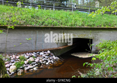 La loutre d'Europe, loutre d'Europe, la loutre (Lutra lutra), mesure de protection de la nature pour traverser une rue, Allemagne Banque D'Images