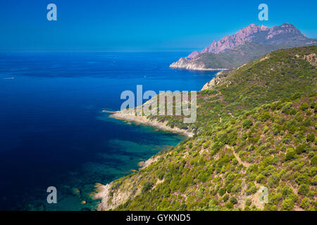 Voir à partir de la fameuse D81 route côtière avec vue sur golfe de Girolata de Bocca di Luccio, Corse, France, Europe. Banque D'Images