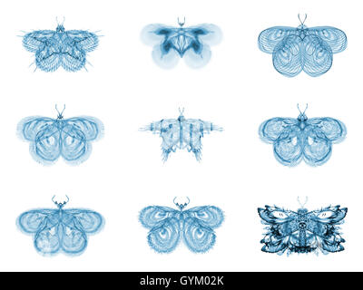 Papillons fractale métaphorique Banque D'Images