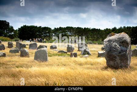 Pierres de Carnac. Village de Carnac. Département du Morbihan, Bretagne, France, Europe. Banque D'Images