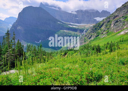 Sur le paysage de haute montagne Grinnell Glacier dans le Glacier National Park, Montana en été Banque D'Images