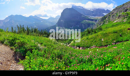 Sur le paysage de haute montagne Grinnell Glacier dans le Glacier National Park, Montana en été Banque D'Images