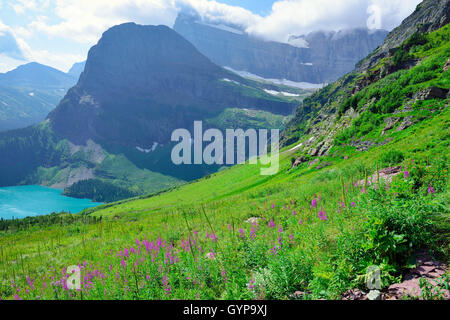 Fleurs sauvages et des paysages alpins de la Grinnell Glacier dans le Glacier National Park, Montana en été Banque D'Images