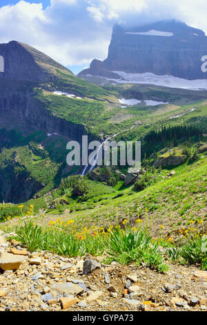 Fleurs sauvages et des paysages alpins de la Grinnell Glacier dans le Glacier National Park, Montana en été Banque D'Images