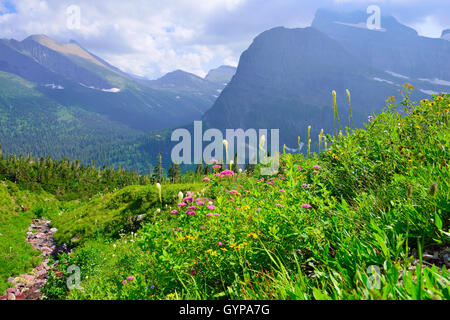 Fleurs sauvages et des paysages alpins de la Grinnell Glacier dans le Glacier National Park, Montana en été Banque D'Images