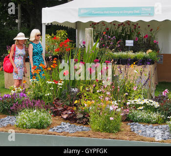 Deux dames d'admirer une exposition, d'une partie de l'affichage floral à la RHS Flower Show à Tatton Park en 2016, le Cheshire. Banque D'Images