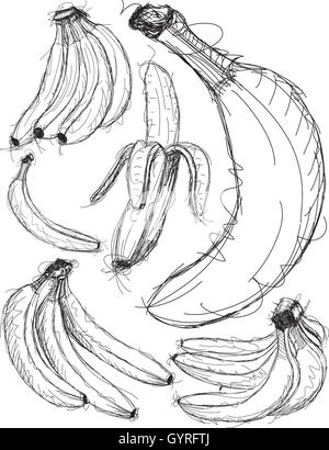 Esquisses fragmentaires, banane bananes dessiné à la main. Illustration de Vecteur