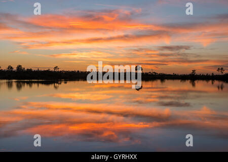 Coucher de soleil sur le lac Pine sous-bois dans le parc national des Everglades, Florida USA Banque D'Images